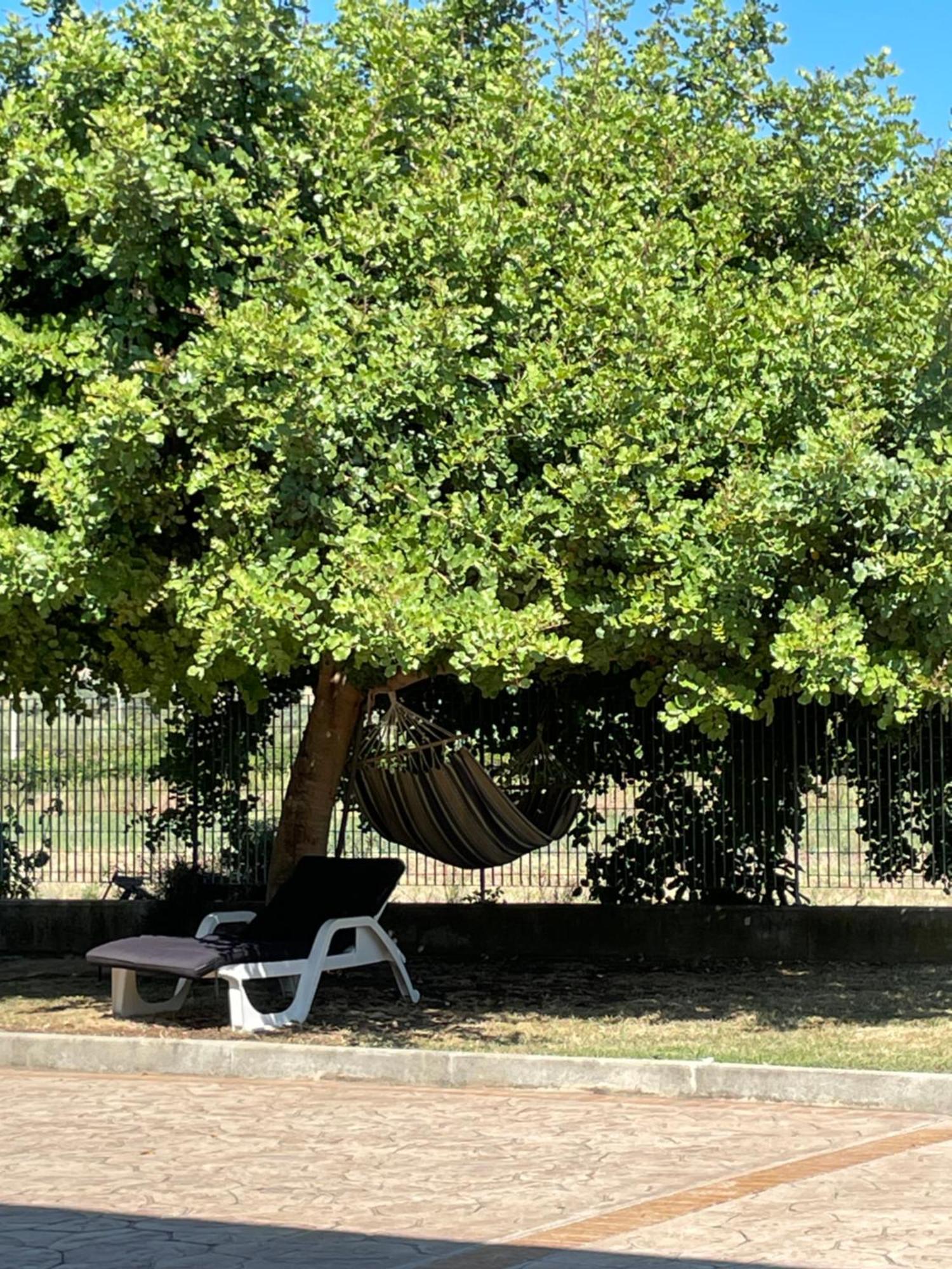 La Casa Di Michela Villa Torino di Sangro Dış mekan fotoğraf